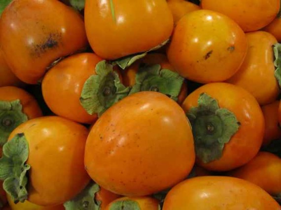 persimmons