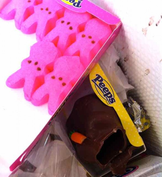 Peeps in the trash