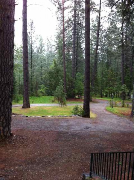 rain driveway