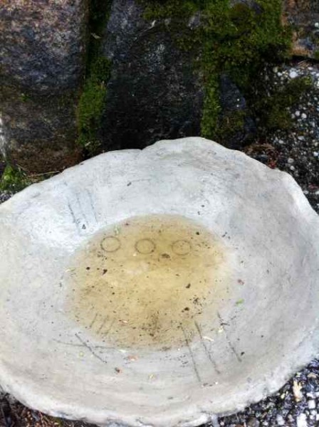 concrete bowl