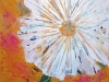 daisyeditweb