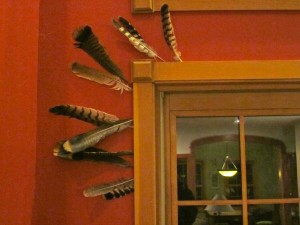Feathers in the window