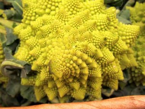 Broccoli Romanesco closeup